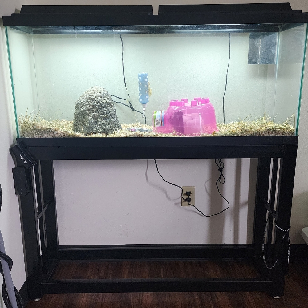 55 Gallon Fish tank